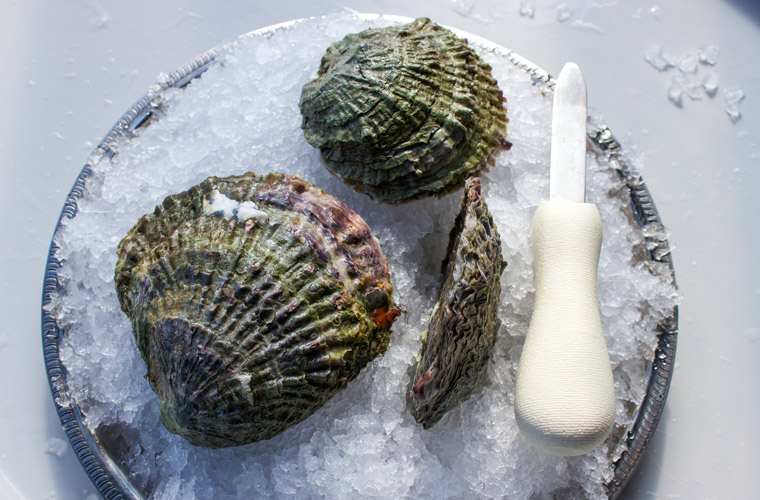 Belon Oyster — Oysterology Online Pangea Shellfish Company